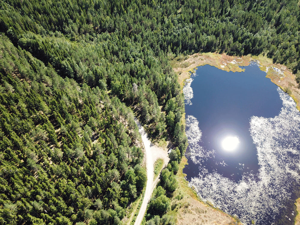 Bossen en meren Värmland Zweden