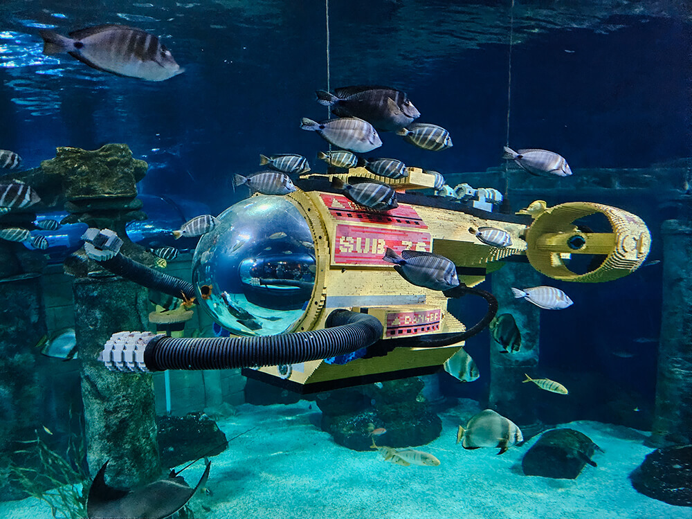 Sealife in Legoland Billund in Denemarken